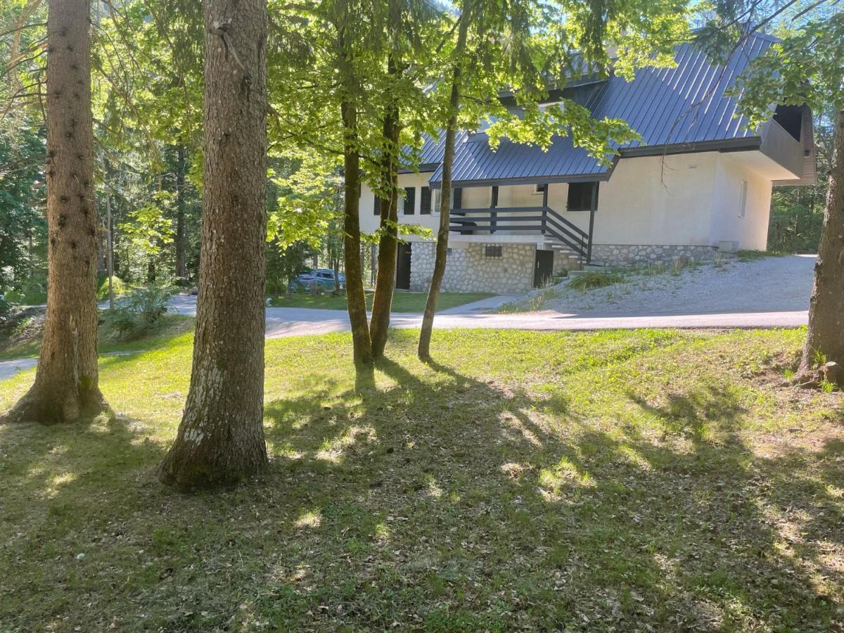 Martinov Dom Apartment Kranjska Gora Bagian luar foto